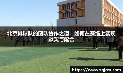 北京排球队的团队协作之道：如何在赛场上实现默契与配合
